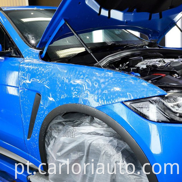 clear paint protection bra